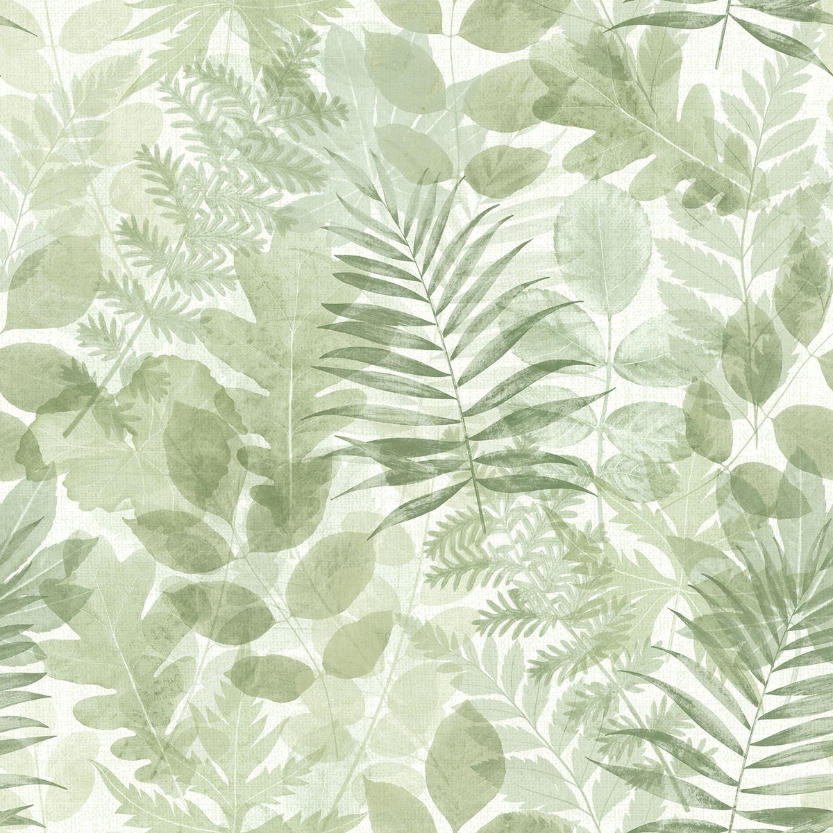 Catherine Lansfield Leaves Green Wallpaper - 105x53cm