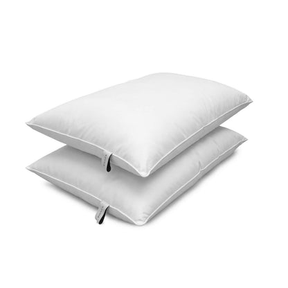 Bianca Fine Linens Anti Allergy Cotton Pillow Pair White