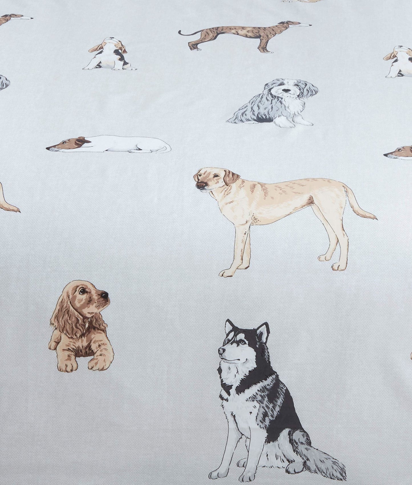 Pawsome Multi Duvet Set