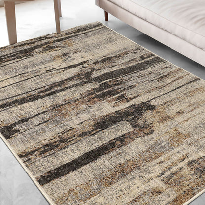 Aspre Shades Distressed Multi Rug