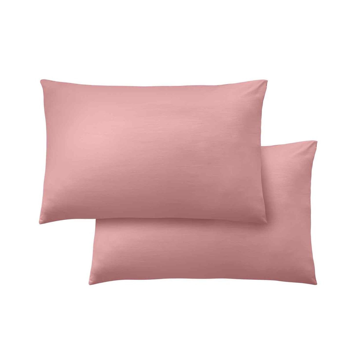 So Soft Non Iron Coral Standard Pillow case Pack of 4 with envelope closure