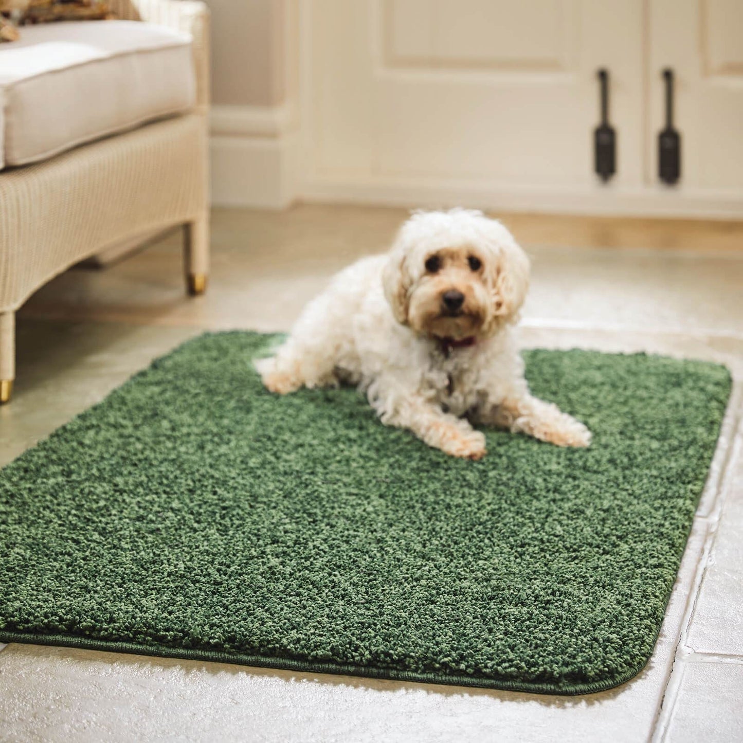 My Rugs Forest Green Plain Rugs