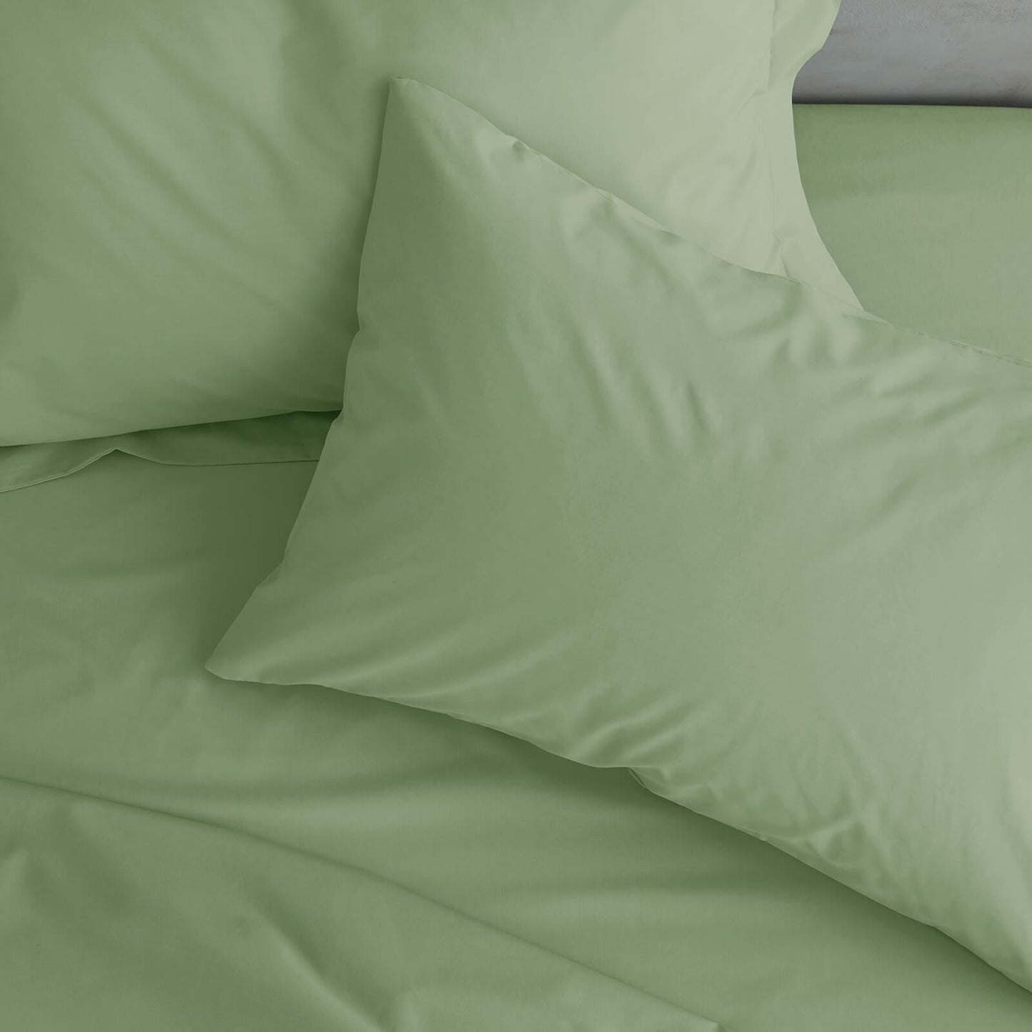 Easy Iron Percale Standard Pillowcase Pair Sage Green