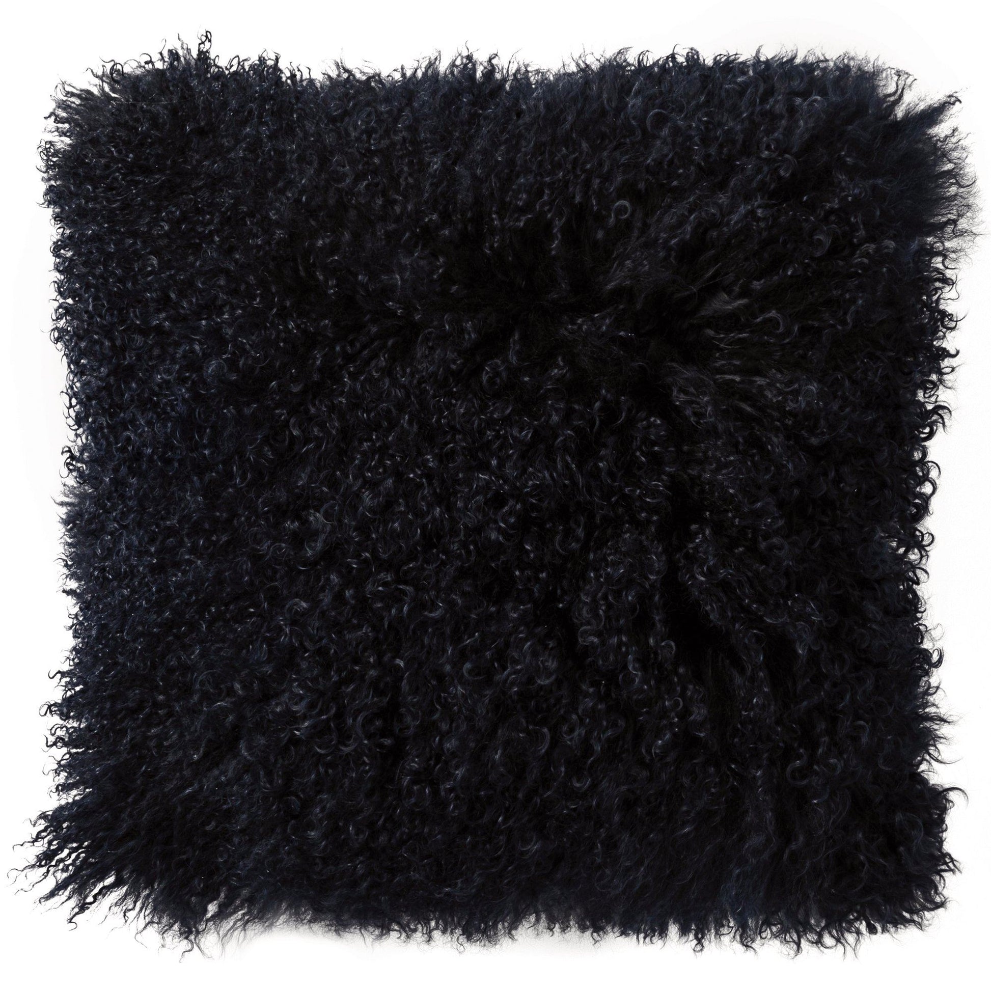 Bligh Midnight Cushion