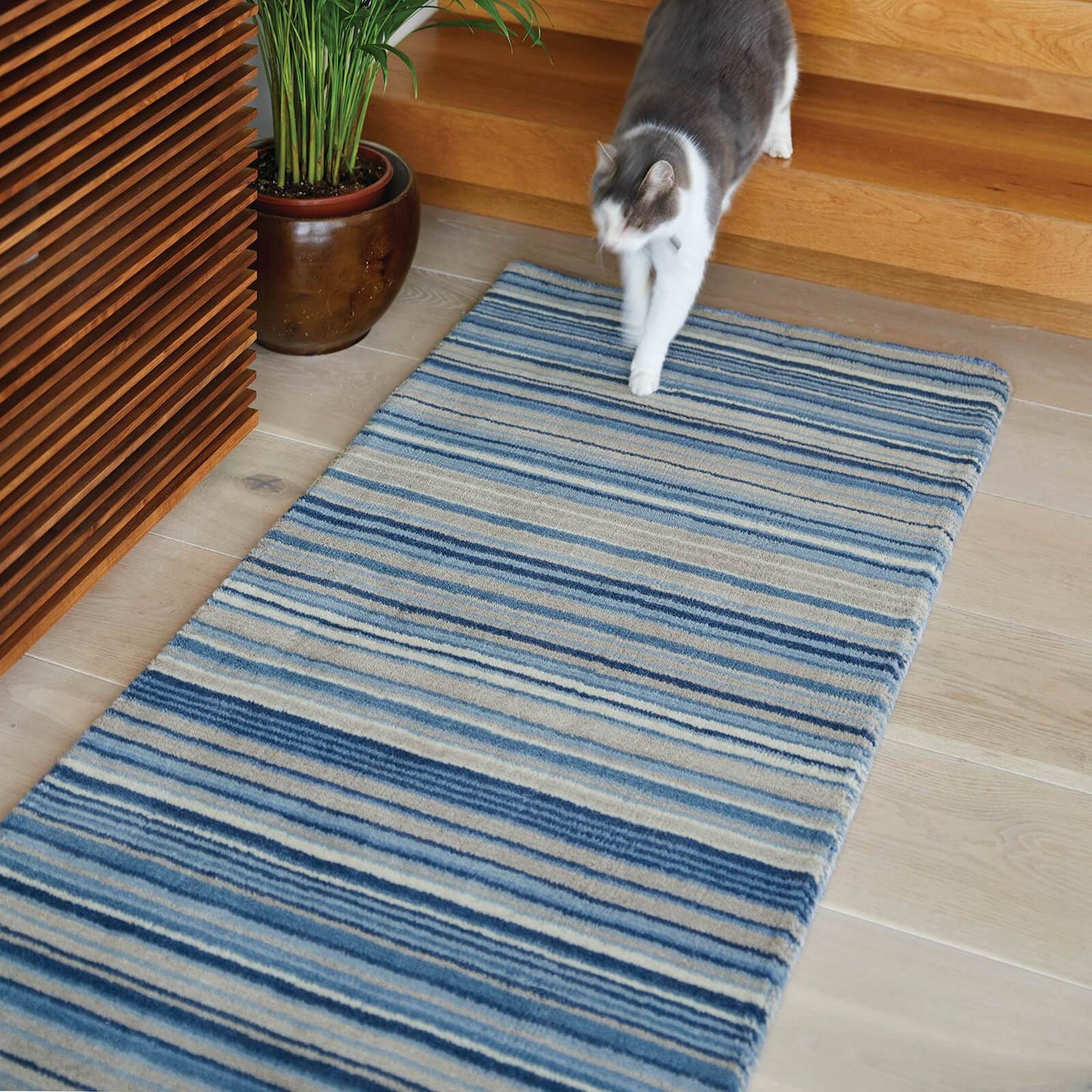 Fine Stripes Blue Modern Rugs