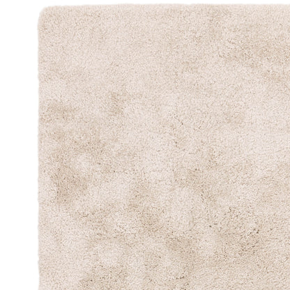 Asiatic Ritchie Beige Rug