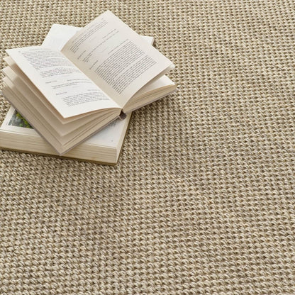 Origins Sisal Rug Light Beige with Sand Border Rug